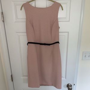 The Limited Soft Pink/Cream Dress w Black Lace